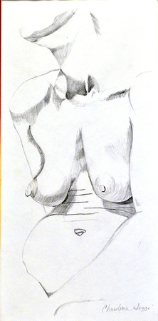 woman torso in graphite